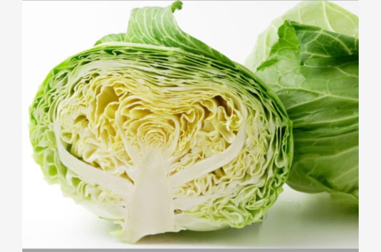 万能野菜《キャベツについて》