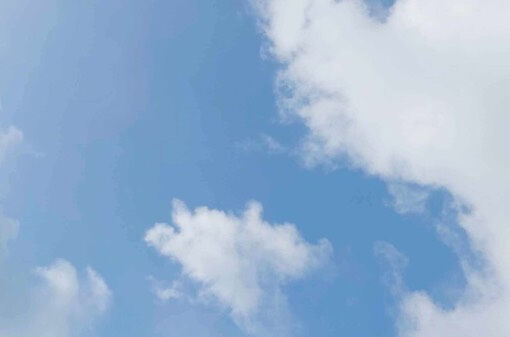 11時にランチタイムがオープン！
